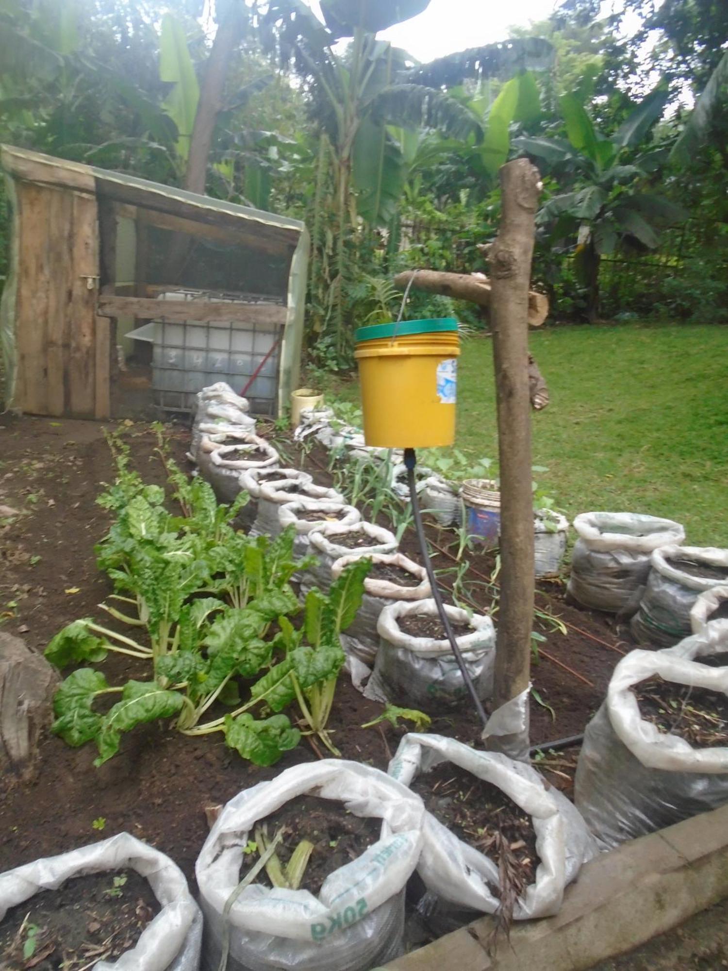 Themi Valley Eco And Cultural Tourism Homestay Arusha Exterior photo