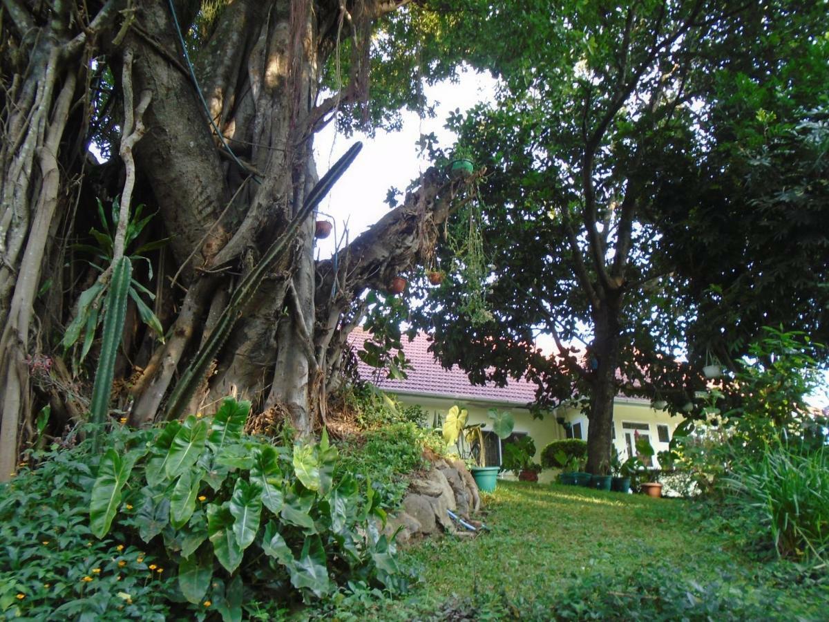 Themi Valley Eco And Cultural Tourism Homestay Arusha Exterior photo